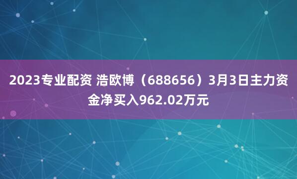 2023专业配资 浩欧博（688656）3月3日主力资金净买入962.02万元