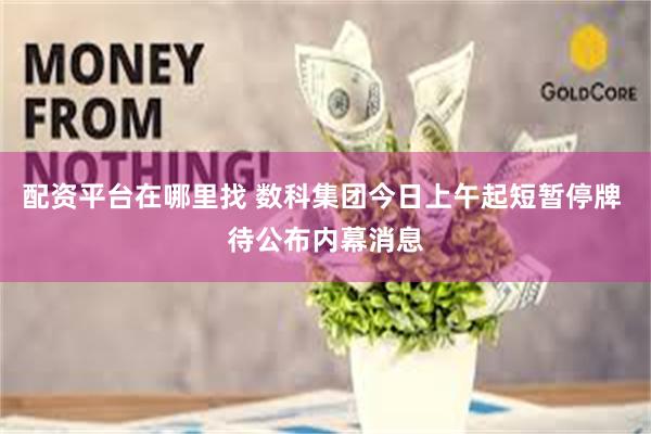 配资平台在哪里找 数科集团今日上午起短暂停牌 待公布内幕消息