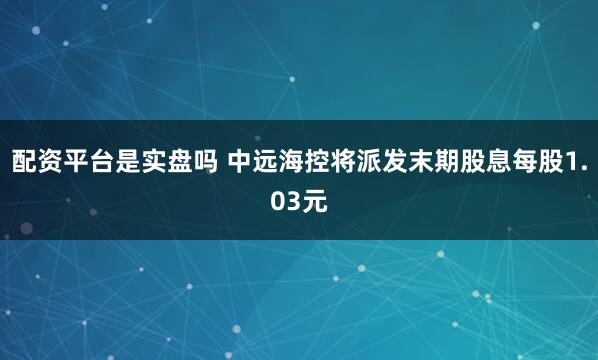配资平台是实盘吗 中远海控将派发末期股息每股1.03元