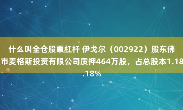 什么叫全仓股票杠杆 伊戈尔（002922）股东佛山市麦格斯投资有限公司质押464万股，占总股本1.18%