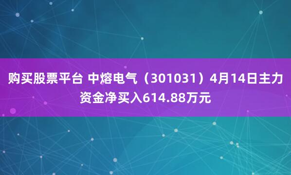购买股票平台 中熔电气（301031）4月14日主力资金净买入614.88万元