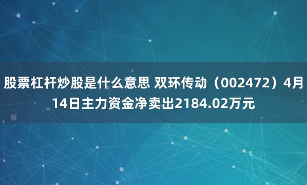 股票杠杆炒股是什么意思 双环传动（002472）4月14日主力资金净卖出2184.02万元