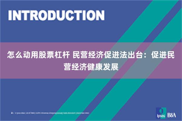怎么动用股票杠杆 民营经济促进法出台：促进民营经济健康发展