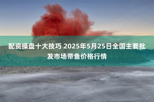 配资操盘十大技巧 2025年5月25日全国主要批发市场带鱼价格行情