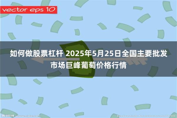 如何做股票杠杆 2025年5月25日全国主要批发市场巨峰葡萄价格行情