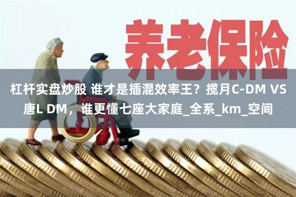 杠杆实盘炒股 谁才是插混效率王？揽月C-DM VS唐L DM，谁更懂七座大家庭_全系_km_空间