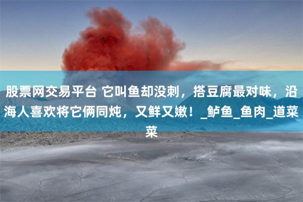 股票网交易平台 它叫鱼却没刺，搭豆腐最对味，沿海人喜欢将它俩同炖，又鲜又嫩！_鲈鱼_鱼肉_道菜