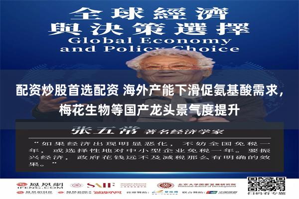 配资炒股首选配资 海外产能下滑促氨基酸需求，梅花生物等国产龙头景气度提升