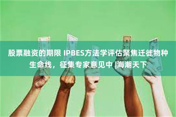 股票融资的期限 IPBES方法学评估聚焦迁徙物种生命线,征集专家意见中 |海潮天下