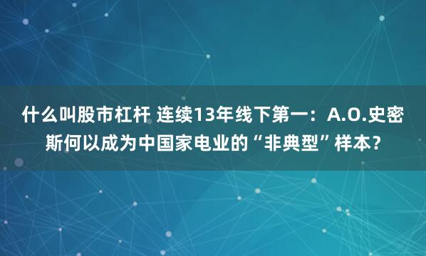 什么叫股市杠杆 连续13年线下第一:A.O.史密斯何以成为中国家电业的“非典型”样本?